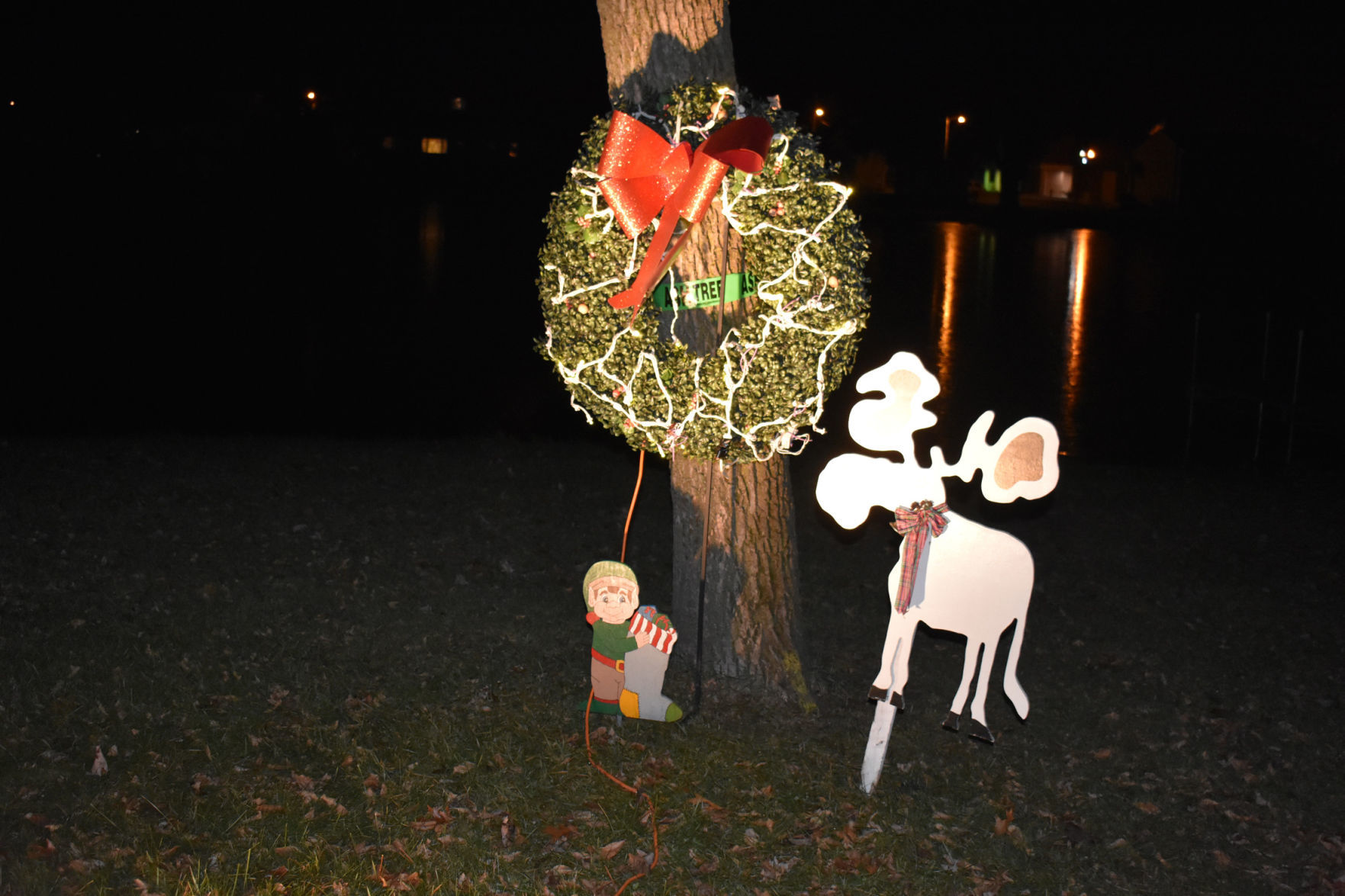 Chandler gallery -- lakeside moose